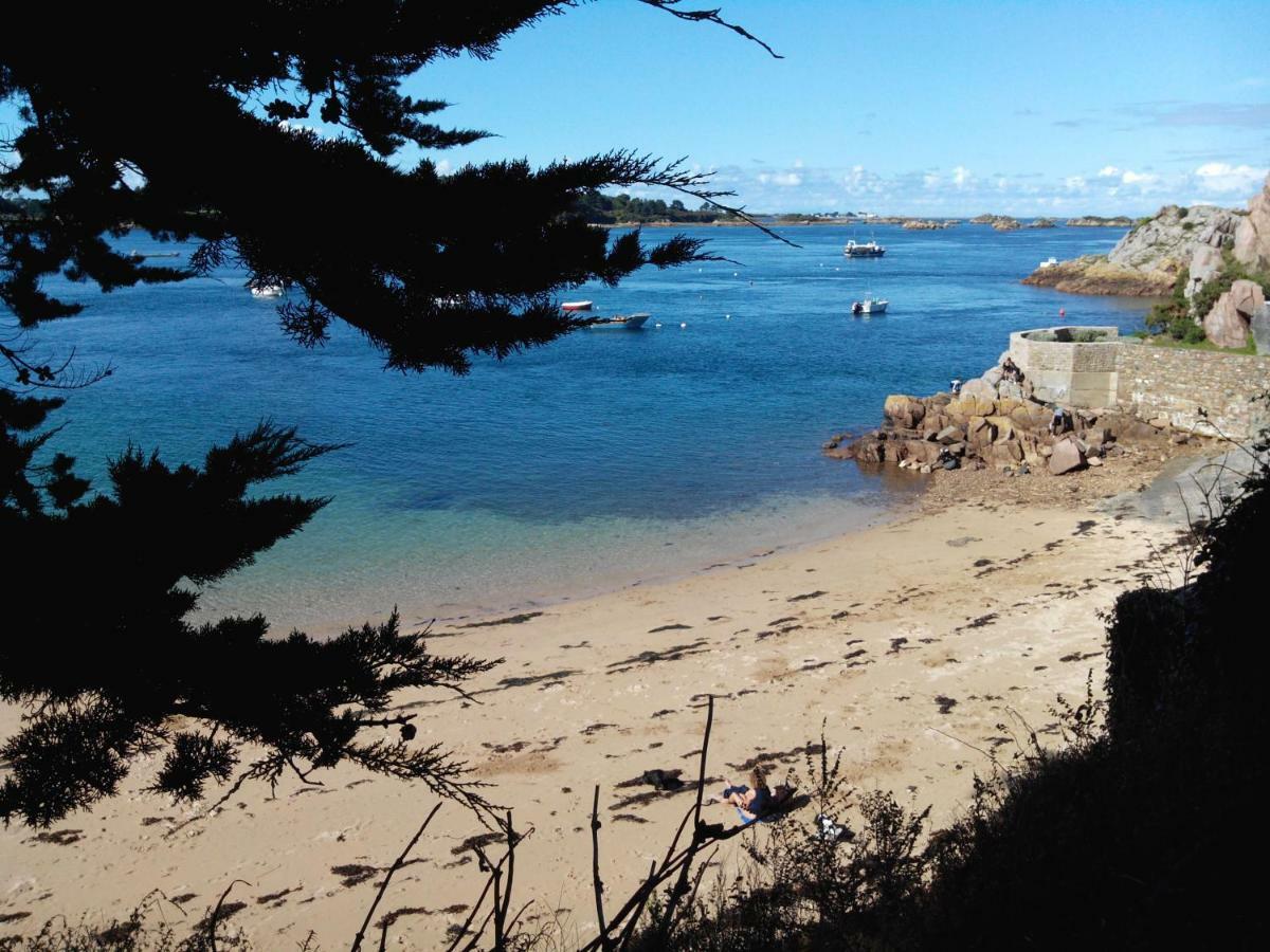 Gite De La Marina Dans La Presqu'Ile De Lézardrieux Eksteriør bilde